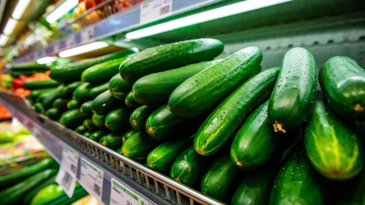 les concombres qui viennent de ce pays sont bourrés de pesticides et il ne s’agit pas de l’espagne